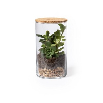 0917 Szklane terrarium